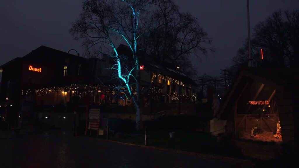 Verlichte bomen en terrassen in Heist op een winteravond
