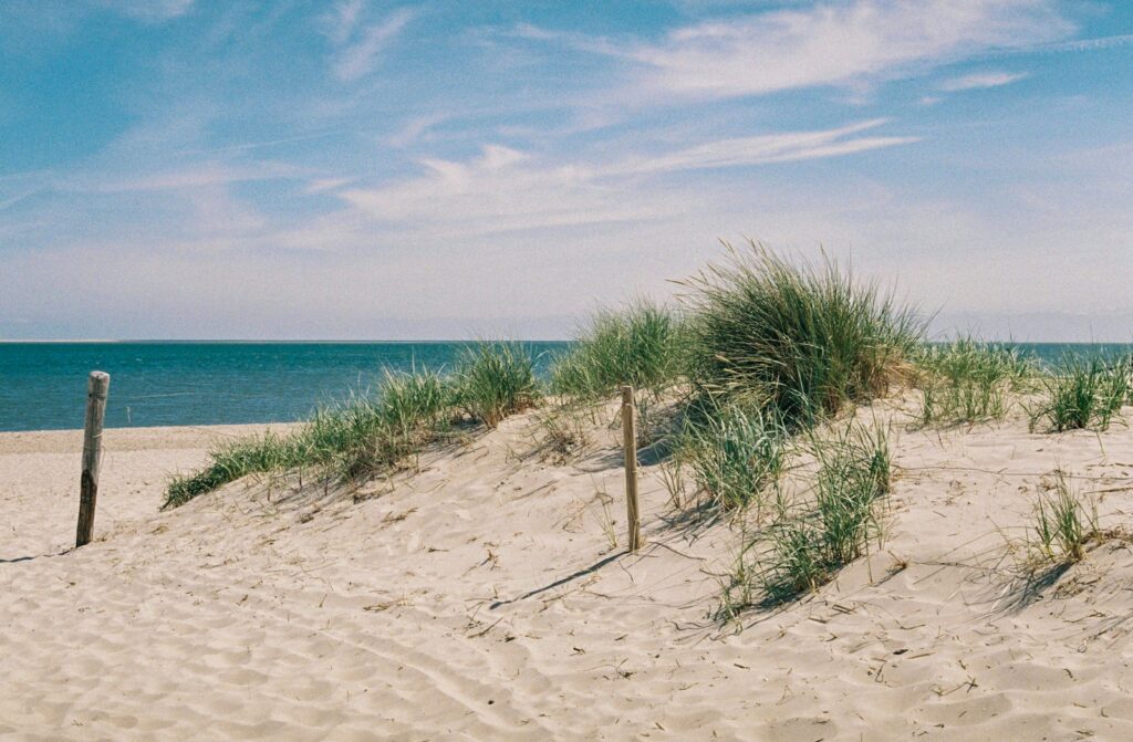Strand en duinen langs de Nederlandse kust