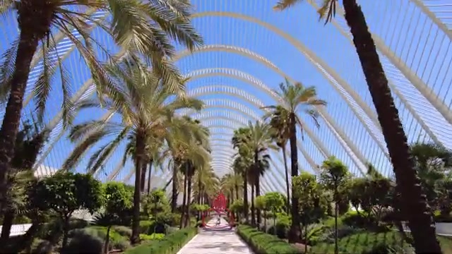 Palmen onder de witte bogen van L'Umbracle in de Ciudad de las Artes y las Ciencias in Valencia, uit een video van 4K City Tours